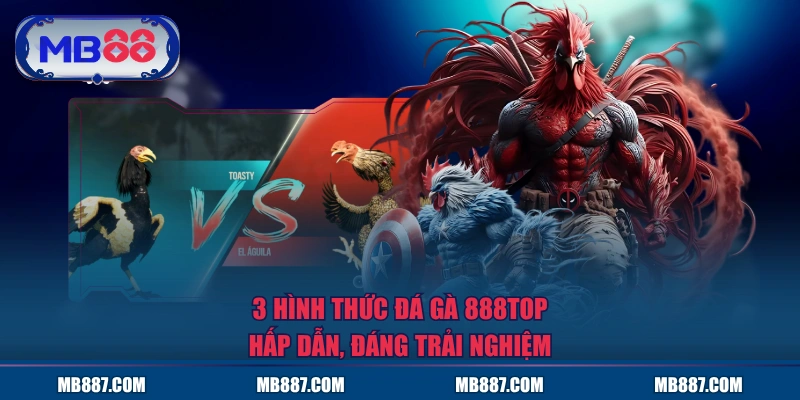 3 hình thức Đá Gà MB88 hấp dẫn, đáng trải nghiệm