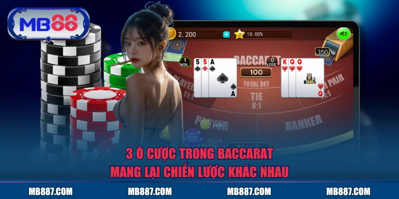 3 ô cược trong baccarat mang lại chiến lược khác nhau