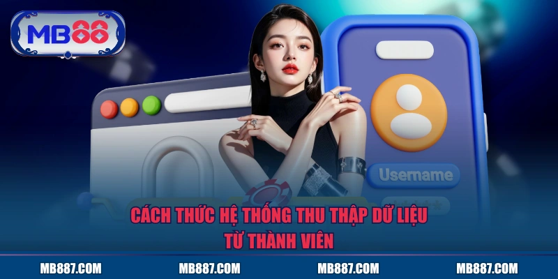 Cách thức hệ thống thu thập dữ liệu từ thành viên