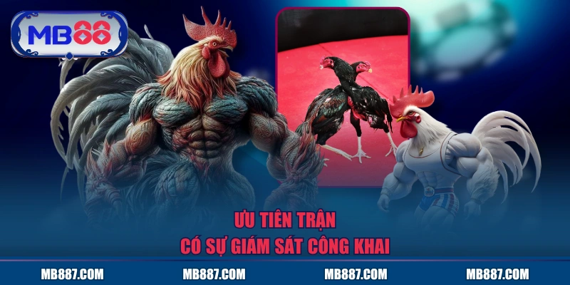 Ưu tiên trận có sự giám sát công khai